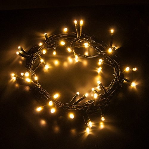 Гирлянда светодиодная "Шнур" Eurosvet 400-001 Теплая IP20 5м фото Гирлянда светодиодная "Шнур" Eurosvet 400-001 Теплая IP20 5м картинка